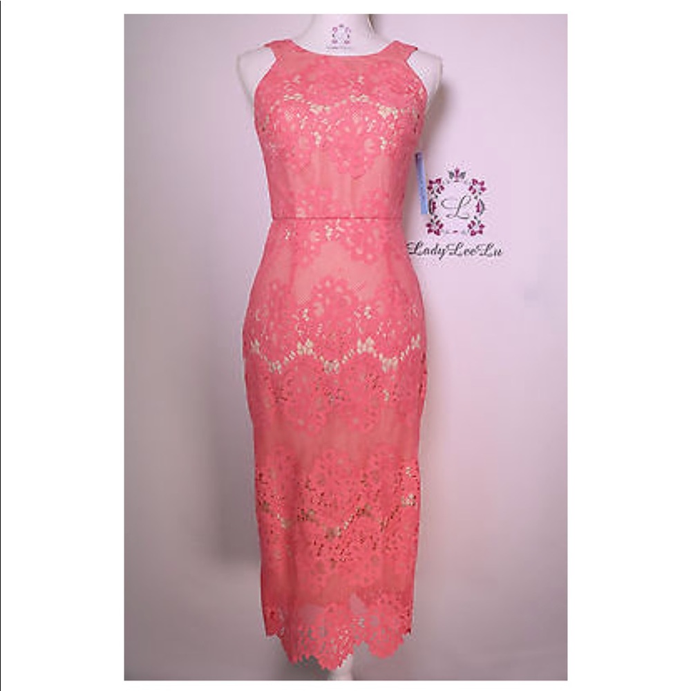 NWT! Antonio Melani - Olympia lace dress
